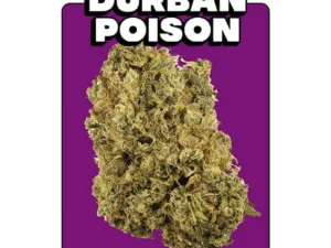 Buy Durban poison online in Germany