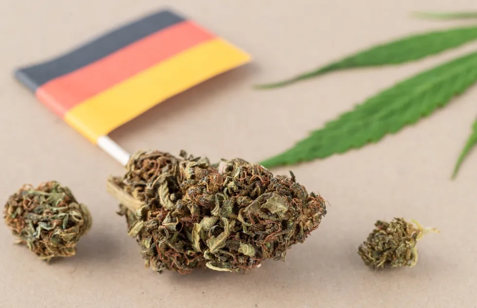 Where to Buy Weed in Germany